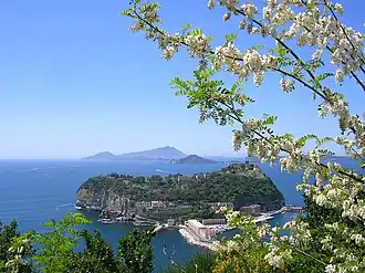 Image illustrative de l’article Nisida