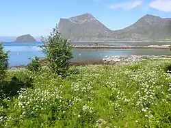 Veggen et l'îlot de Tåa depuis le sud de Vikbukta