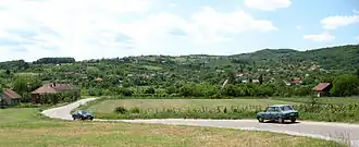 Velika Kruševica (Rekovac)
