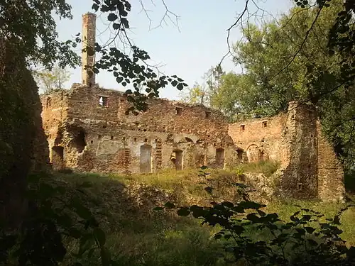 Ruines de l'ancienne forteresse.