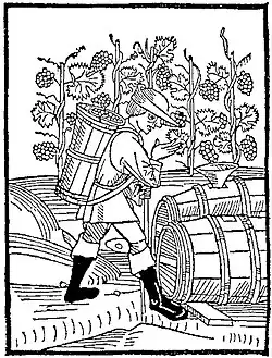 Vendange, XVe&nbsp;siècle