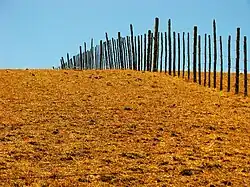 Pré totalement desséché.