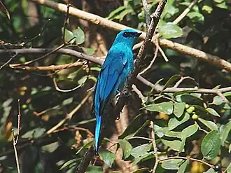 Description de cette image, également commentée ci-après