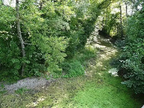 Le même endroit avec le Vern à sec.