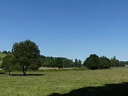 Une cinquantaine de mètres en amont.