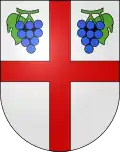 Blason de Verscio