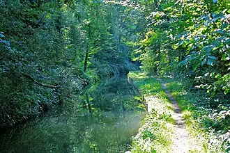 Image illustrative de l’article Bois de Versoix