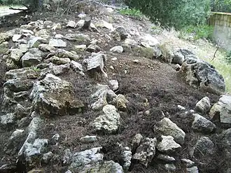 Vestiges du rempart nord du site des Tamaris.