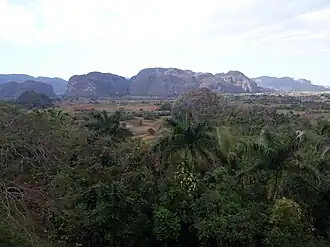 Le mogote de Dos Hermanas vu depuis le mirador de l'hôtel Los Jazmines
