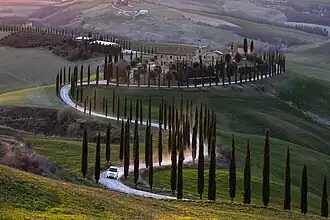 Une route de cyprès dans Crete senesi. Mars 2019.