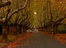 Automne dans la banlieue de Canterbury.
