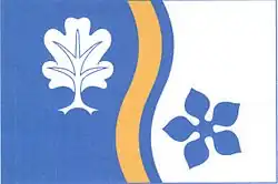 Drapeau de Vidochov