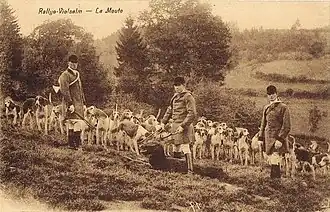 Le Rallye, la meute et son cerf.