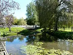 À Vieux-Mareuil, en direction de l'amont.