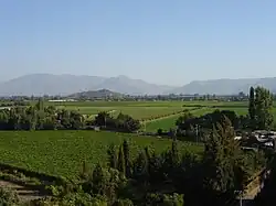 Vue de la vallée de l’Aconcaguaprès de San Felipe