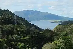 Image illustrative de l’article Lac Rotomahana