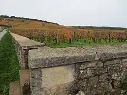 Le clos de la Romanée-Conti du domaine de la Romanée-Conti.