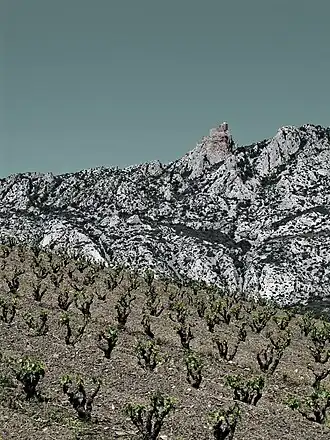 Image illustrative de l’article Maury (AOC)