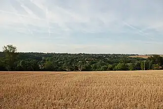 Bocage résidentiel vigouletain (Hauts de Vigoulet et La Guérinière) entre le bois de Lavergne à gauche et Mervilla à droite