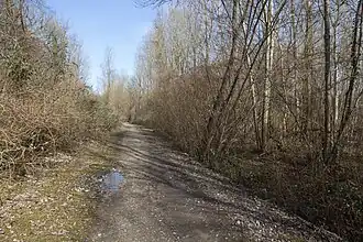 Vue d'une sentier dans un espace boisé
