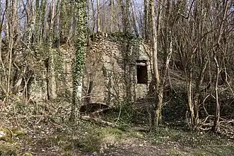 Vue des vestiges d'un ancien édifice en pierre de meulière dans un bois.