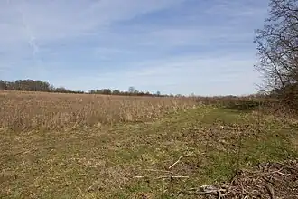 Vue d'un espace agricole en friche