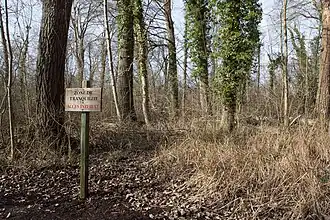 vue d'un espace boisé.