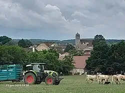 Vue du village, lors d'un concours de chiens de troupeau.