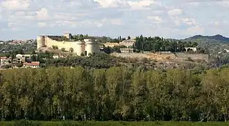 Vue sur le fort Saint-André depuis Avignon.