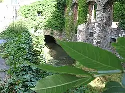 La rivière Thyle passant dans les ruines de l'abbaye.