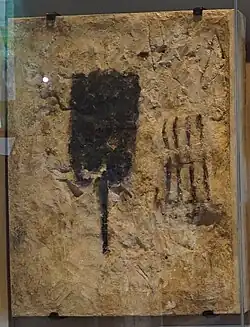 Dessin au charbon dans une hypogée, Musée du vin de Champagne et d'Archéologie régionale à Épernay.