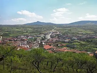 Vilvestre