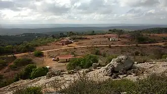 Algodão de Jandaíra