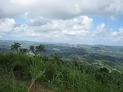 Cidra