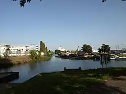 Vue de la cité scolaire depuis le canal de la Marne à la Saône. Au premier plan, trois plans d'eau se dsitribue au nord, à l'est et à l'ouest. Au nord, les bâtiments blancs, aux panneaux colorés, se distinguent.