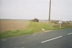 vue d'un chemin rectiligne bordé d'une haie