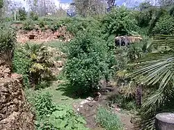 La volière européenne.