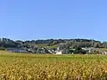 Volnay en automne.