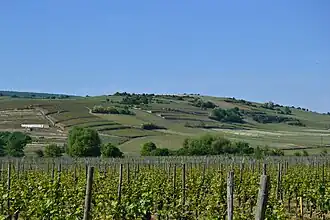 Image illustrative de l’article Vorbourg