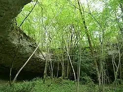 La vallée des Vachon.