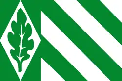 Drapeau de Vriezenveen