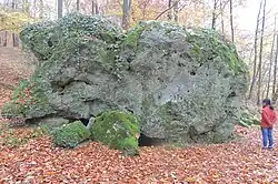 Dolmen de la Pierre Torniche