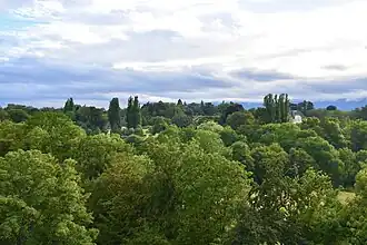Vue sur l'Ouest depuis la tour.