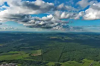 Image illustrative de l’article Forêt de Ternes