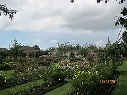 Vue d'ensemble de la roseraie.