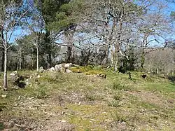 Image illustrative de l’article Dolmens de Kervilor - Mané Bras