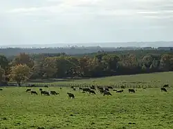 Vue de Puymangou vers La Roche-Chalais
