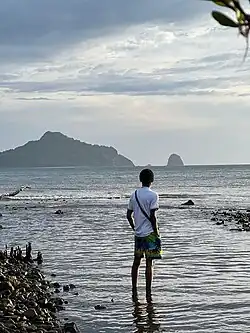 Jardins de mangrove , face à un îlot NIOUMACHOUA