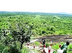 Vue des alentours de Ngog Lituba