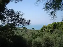 Le massif de la Foresta Umbra recouvre une grande partie du promontoire, jusqu'à la mer